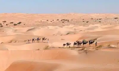 Quelle activité faire en Mauritanie quand on est touriste