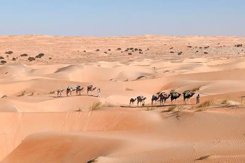 Quelle activité faire en Mauritanie quand on est touriste